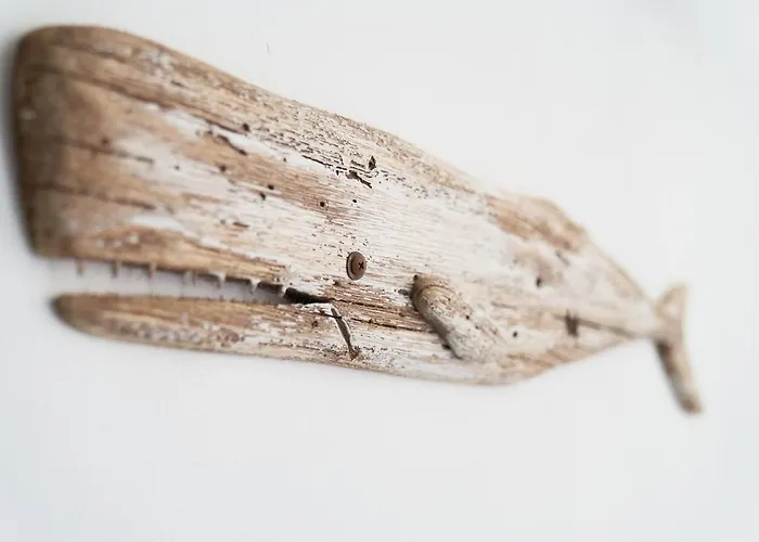 Da Molly مونتيروسّو ال ماري